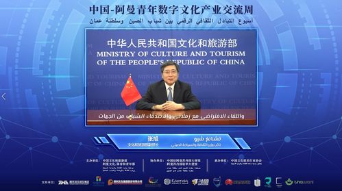 數(shù)字絲路，青春共創(chuàng) 中阿青年數(shù)字文化產(chǎn)業(yè)交流周盛大啟幕